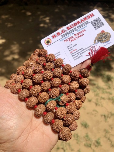 Lab certified mukhi - certified, 7