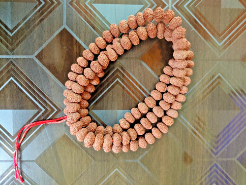Mukhi rudraksha mala mm - mukhi,